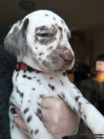 IMG_20250203_162254_web