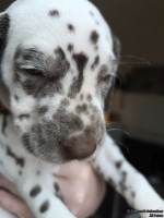 IMG_20250203_162258_web