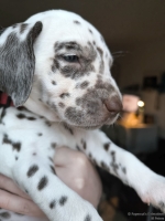 IMG_20250203_162300_web