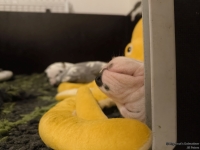 IMG_20250129_001755_web