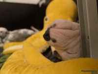 IMG_20250129_001802_web