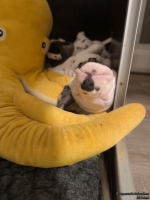 IMG_20250129_001831_web