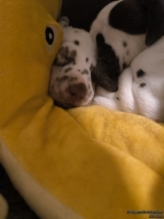 IMG_20250129_001837_web