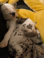 IMG_20250129_001843_web