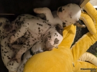 IMG_20250129_001845_web