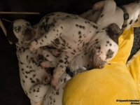 IMG_20250129_001848_web