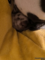 IMG_20250129_001905_web