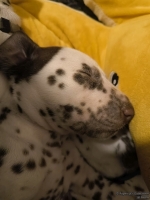 IMG_20250129_001915_web