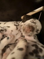 IMG_20250129_001926_web