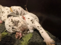 IMG_20250129_001935_web