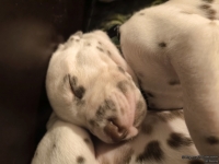 IMG_20250129_001950_web