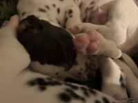 IMG_20250129_001955_web