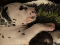 IMG_20250129_001959_web