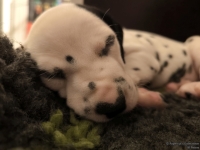 IMG_20250129_002103_web