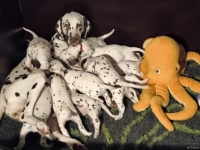 IMG_20250129_083418_web