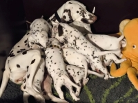 IMG_20250129_083431_web