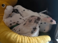 IMG_20250129_142942_web