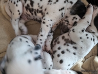 IMG_20250129_142959_web