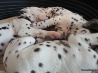 IMG_20250129_143001_web