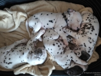 IMG_20250129_143011_web