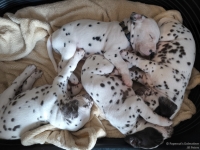 IMG_20250129_143014_web