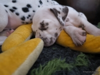 IMG_20250129_143020_web