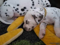 IMG_20250129_143022_web