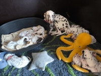 IMG_20250129_143046_web