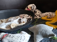 IMG_20250129_143102_web