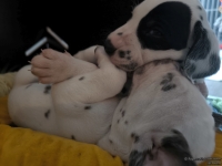 IMG_20250129_143112_web