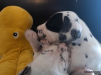 IMG_20250129_143121_web