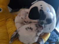 IMG_20250129_143123_web