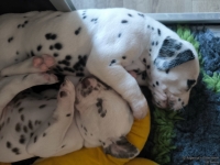 IMG_20250129_143137_web