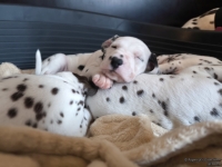 IMG_20250129_143155_web