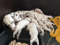 IMG_20250129_143404_web