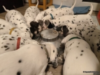 IMG_20250129_201401_web