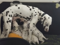 IMG_20250131_123315_web