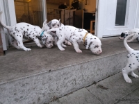 IMG_20250201_080144_web