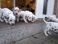 IMG_20250201_080145_web