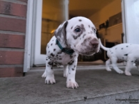 IMG_20250201_080148_web