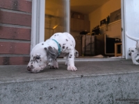 IMG_20250201_080149_web