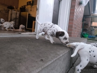 IMG_20250201_080203_web