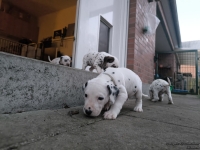 IMG_20250201_080209_web