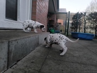 IMG_20250201_080215_web