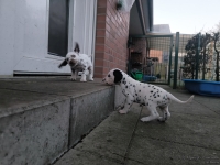 IMG_20250201_080219_web