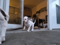 IMG_20250201_080223_web