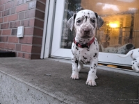 IMG_20250201_080308_web