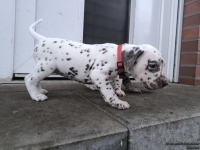 IMG_20250201_080316_web