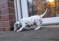 IMG_20250201_080319_web