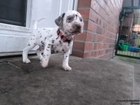 IMG_20250201_080329_web